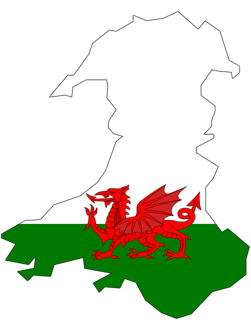 Home Page Image